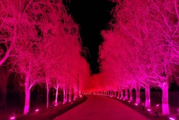 吉木薩爾天地園光影秀