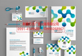 品牌設(shè)計 名片 手提袋 畫冊 整套VI 