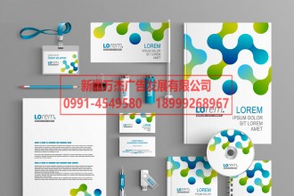 品牌設(shè)計(jì) 名片 手提袋 畫(huà)冊(cè) 整套VI 